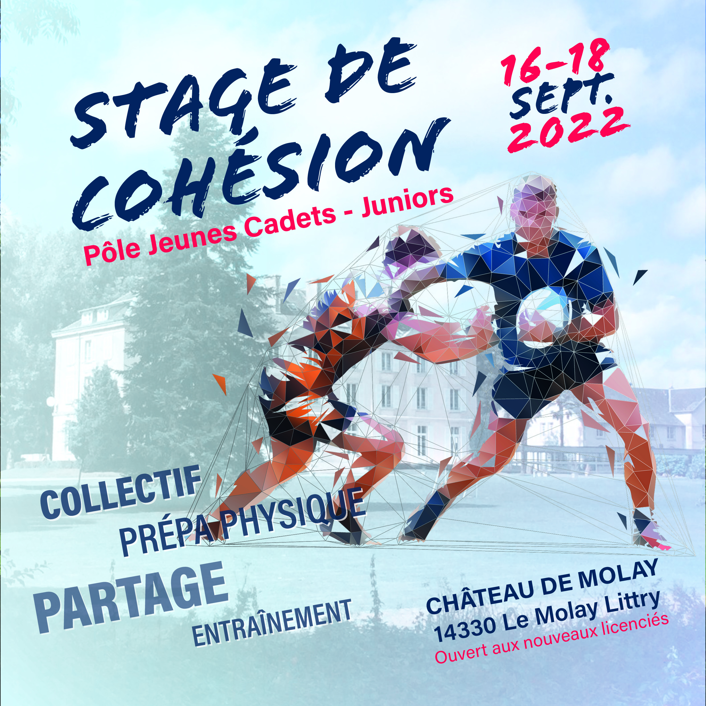 Stage cohésion