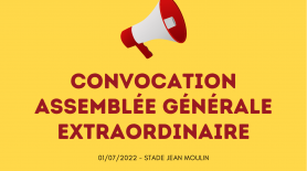 Convocation à l'Assemblée Générale Extraordinaire