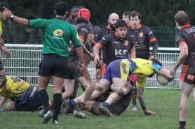 Match seniors Pontault - Orsay 14/11/2021