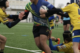 Match Cadets 16/01/2022 vs Courbevoie