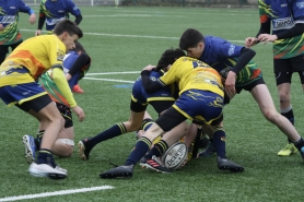 Match Cadets 16/01/2022 vs Courbevoie