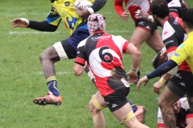 Match seniors Pontault - Bourges XV 20/02/2022