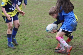 Plateau EDR M8 - Noisy le Grand et Champigny