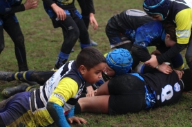 M10 - Champs s/Marne 01/02/2020