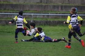 M10 - Champs s/Marne 01/02/2020