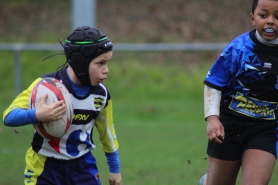 M10 - Champs s/Marne 01/02/2020